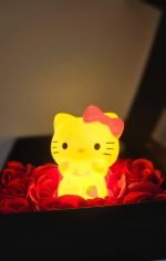 Bond of Friends – Chicken & Kitty Gift Box - Image 4