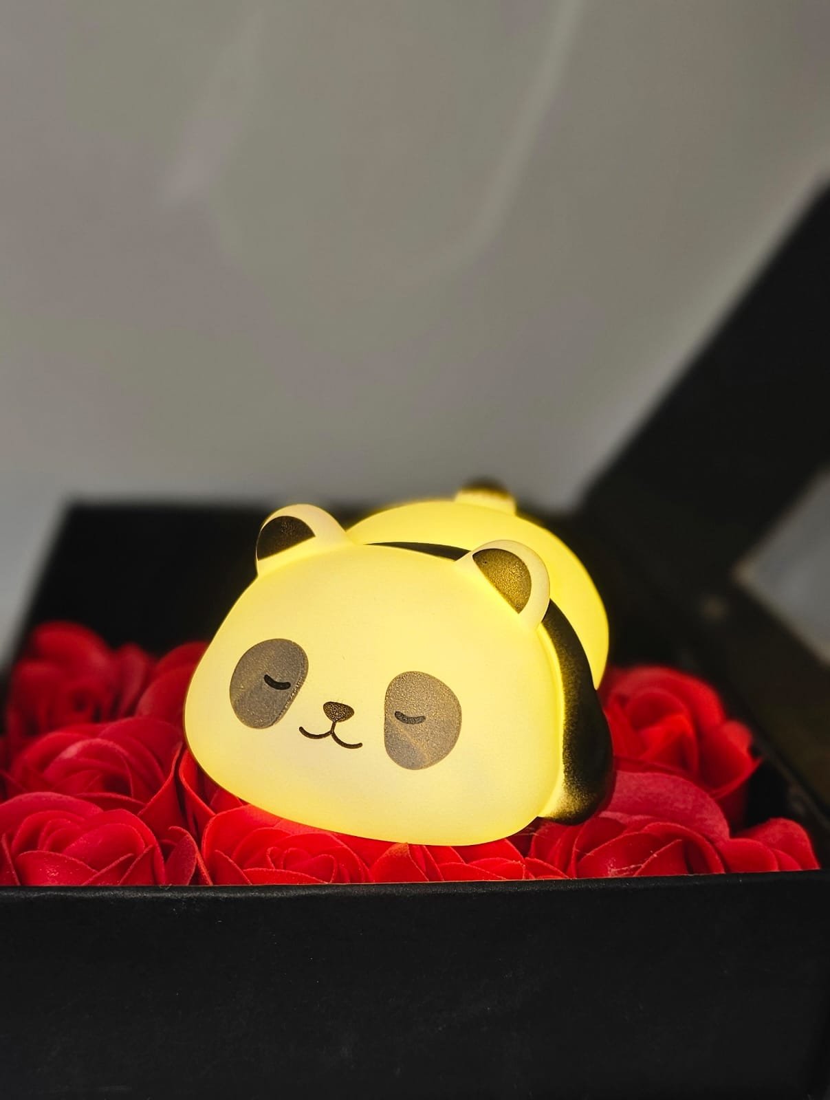 WhatsApp Image 2025-08-13 at 1.35.01 PM (2) Panda Night Light Baby (Sleeping) - Image 1