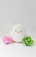 Bond of Friends – Chicken & Kitty Gift Box - Image 3