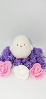 Bonding Package 1 – Yellow & White Chicken Cute Gift Box - Image 4