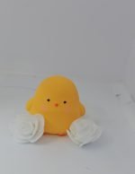 Couple Package 1 – Panda & Chicken Cute Combo Gift Box - Image 12