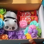 Sleeping Panda Package – With Marble Heart Bracelet