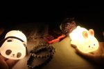 Lazy Leader Couple Combo – Cute & Romantic Couple Gift Box 🐼🐰 - Image 3